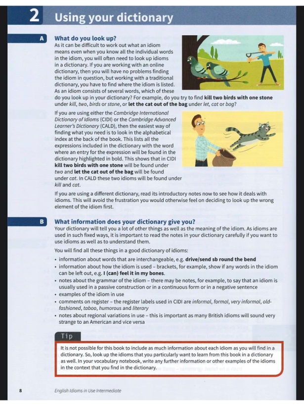 Idioms In Use English Intermediate Second Edition
